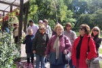 Abuelos del centro de jubilados realizaron una mini excursión a Buenos Aires